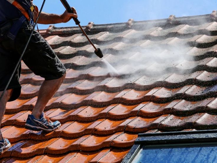 Roof Cleaning 1