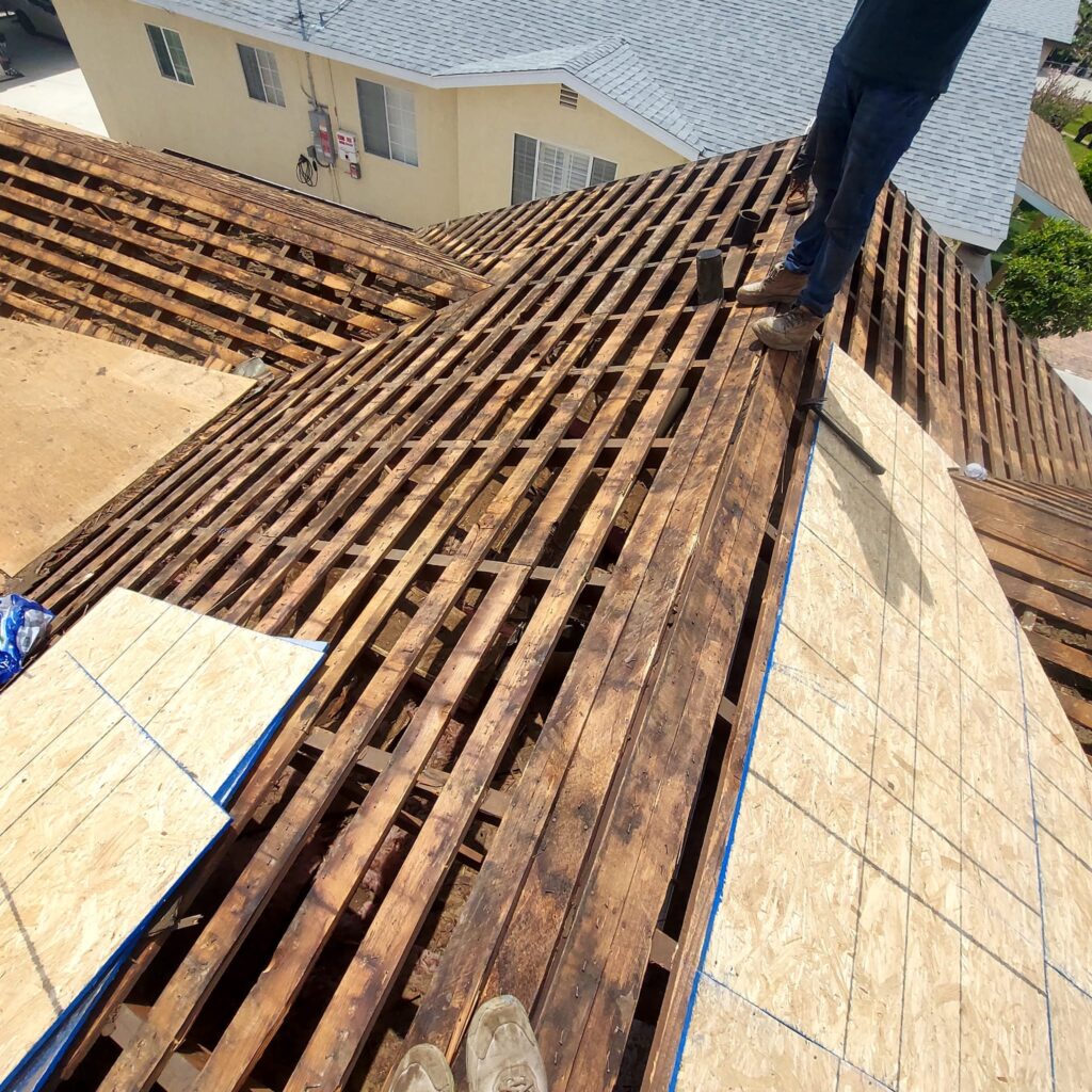 Roof Replacement