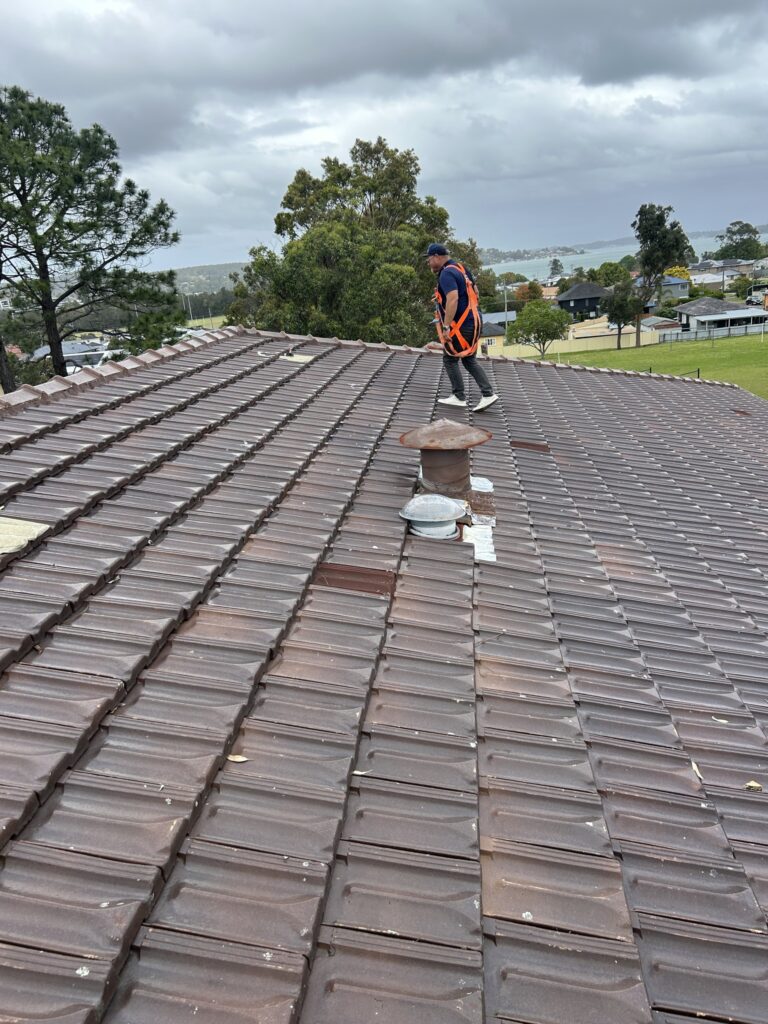 Roof Leak Inspection