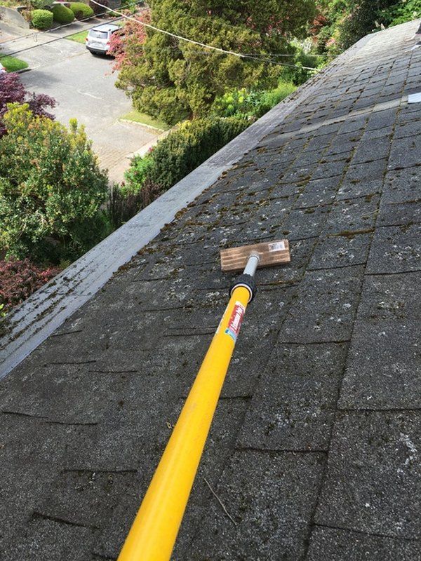 Cleaning Cedar Shingles