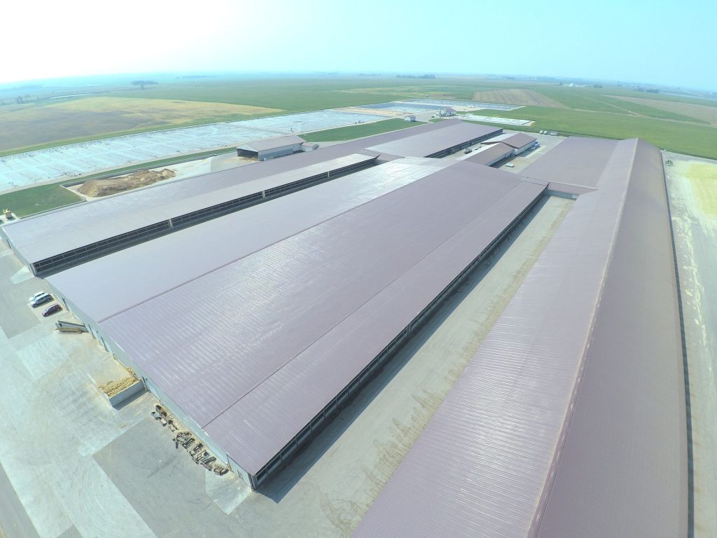 Commercial Steel Roofing