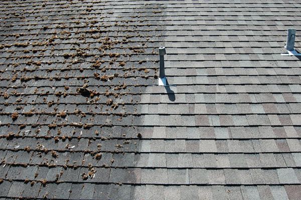 Roof Cleaning​