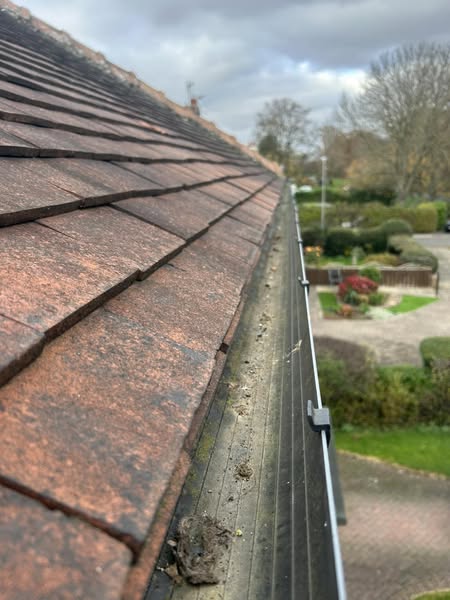 Gutter Inspection